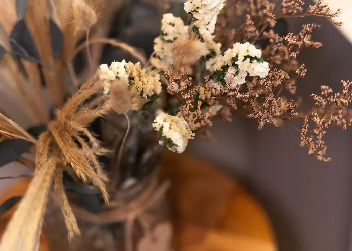 La Gaviota Tatil Evi